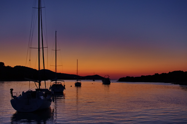 Knister-Fische oder Knister-Glühwürmchen?