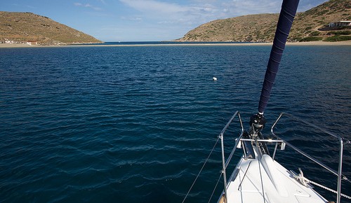 Schwimmen am Morgen…