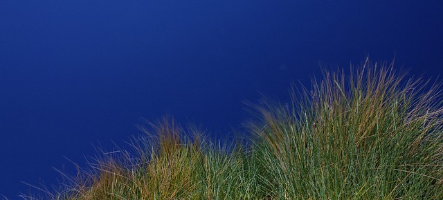 Zwei Friesen untereinander